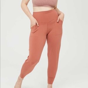 Aerie offline canyon rust jogger pants